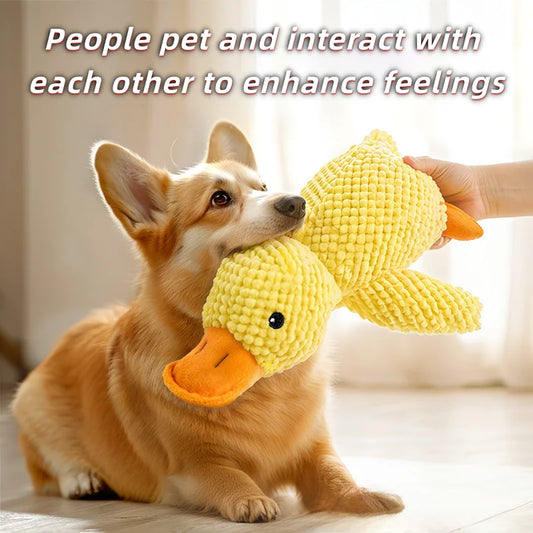 Dog & Puppy Plush Toy for Teething & Play