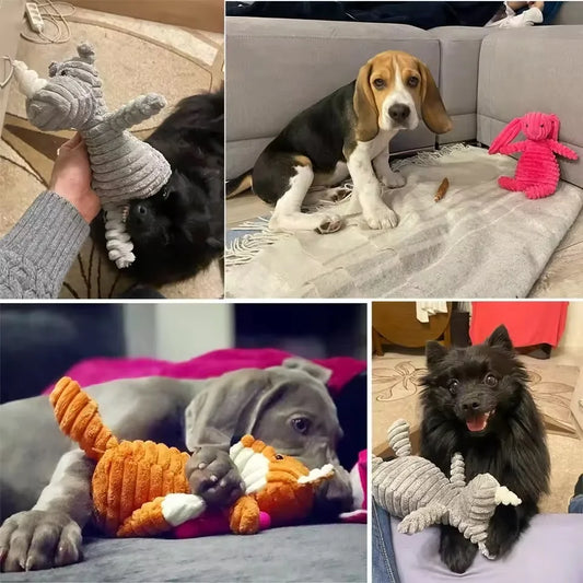 Plush Squeaky Dog Toy for Puppies