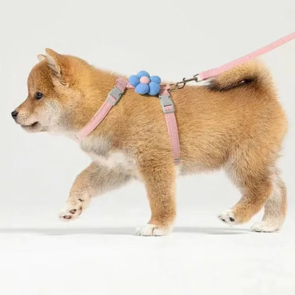 Adjustable Cat and Dog Harness Set