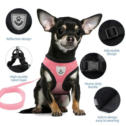 Small Pet Walking Harness with Leash