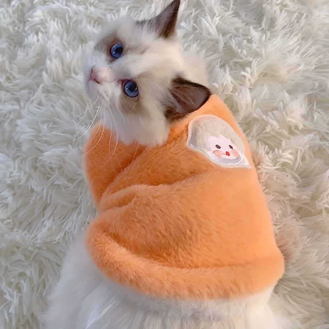 Warm Winter Clothes for Cats & Small Dogs