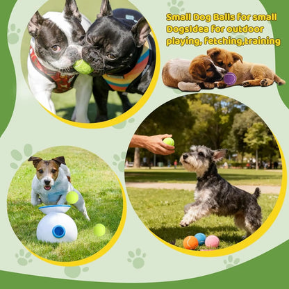 20 Pack Mini Dog Tennis Balls