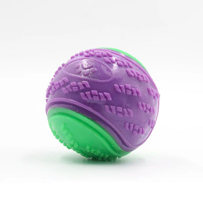 Interactive TPR Squeaky Dog Ball