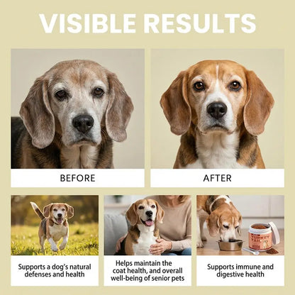 Dog Immune Support Powder – Daily Immunity Boost 100g