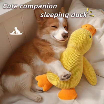 Dog & Puppy Plush Toy for Teething & Play