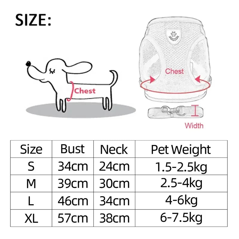 Small Pet Walking Harness with Leash