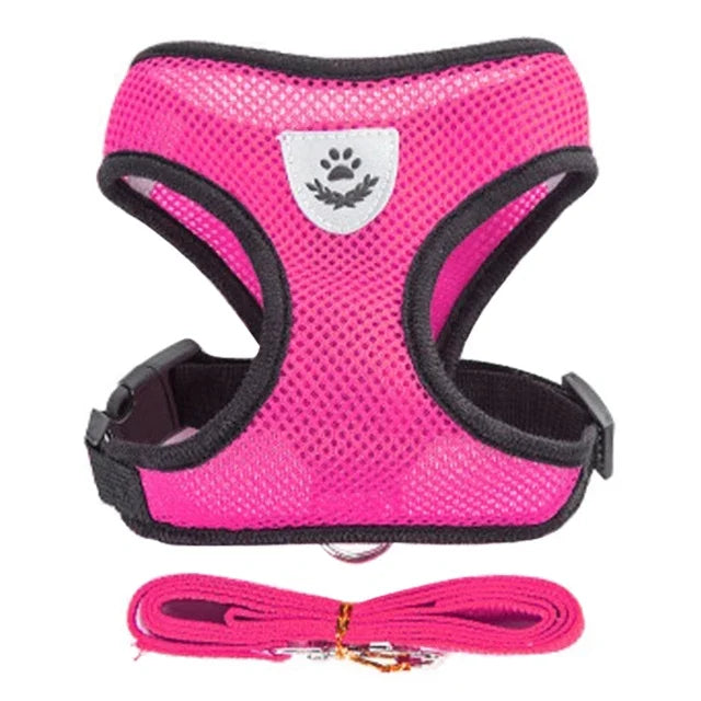 Small Pet Walking Harness with Leash