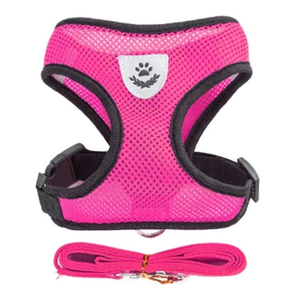 Small Pet Walking Harness with Leash