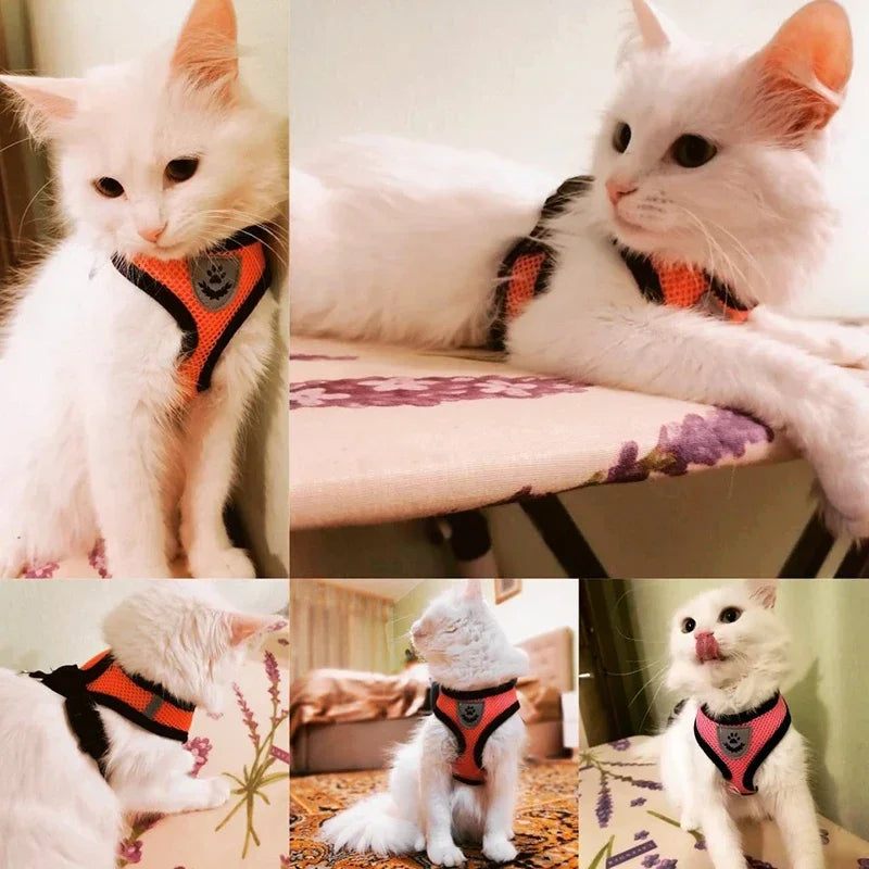 Small Pet Walking Harness with Leash