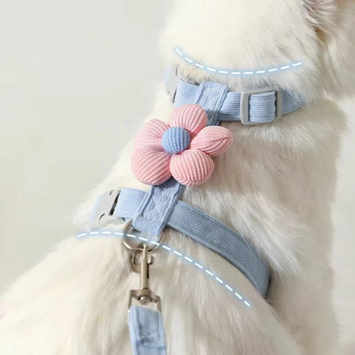 Adjustable Cat and Dog Harness Set