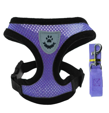 Small Pet Walking Harness with Leash