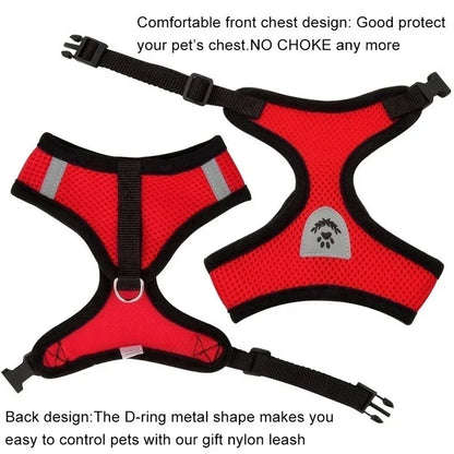Small Pet Walking Harness with Leash