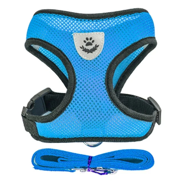 Small Pet Walking Harness with Leash