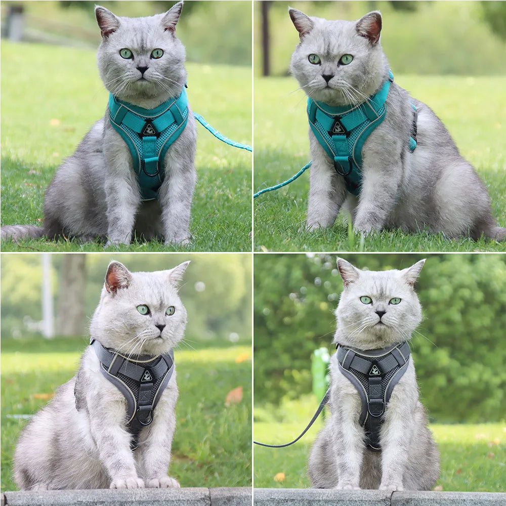 Dog Walking Harness for French Bulldog Pug