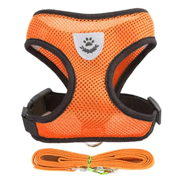 Small Pet Walking Harness with Leash