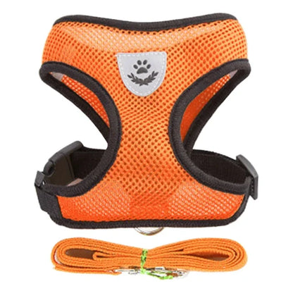 Small Pet Walking Harness with Leash