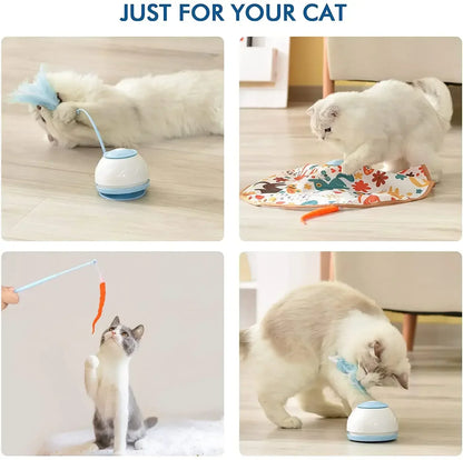 USB Rechargeable Rotating Cat Toy