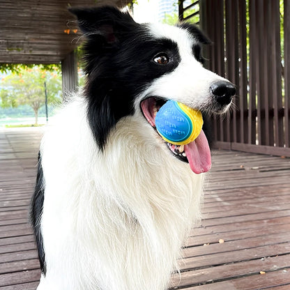Interactive TPR Squeaky Dog Ball