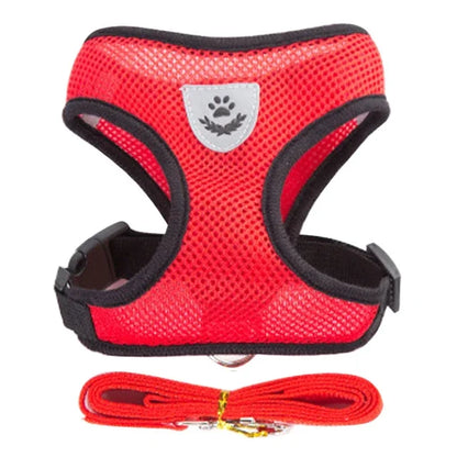 Small Pet Walking Harness with Leash