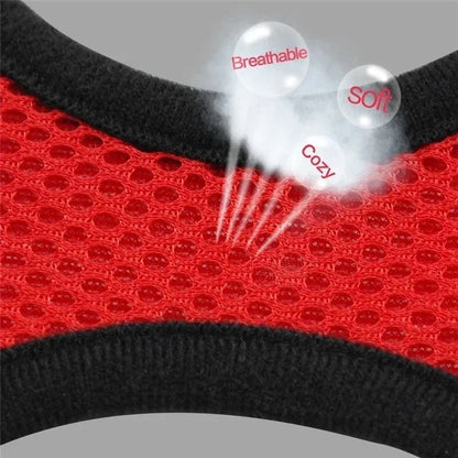 Small Pet Walking Harness with Leash