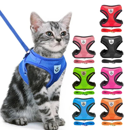 Small Pet Walking Harness with Leash