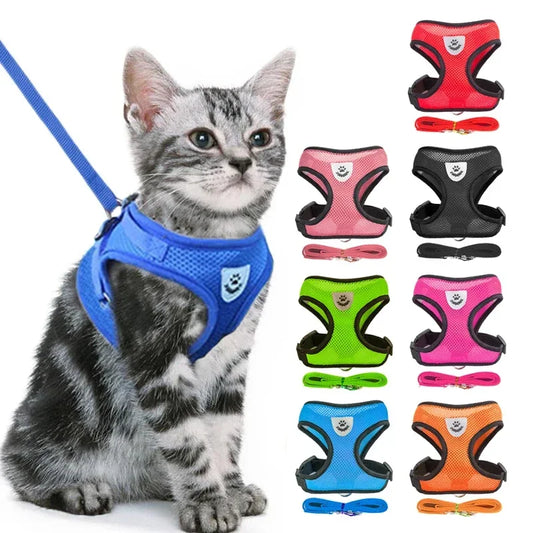 Small Pet Walking Harness with Leash