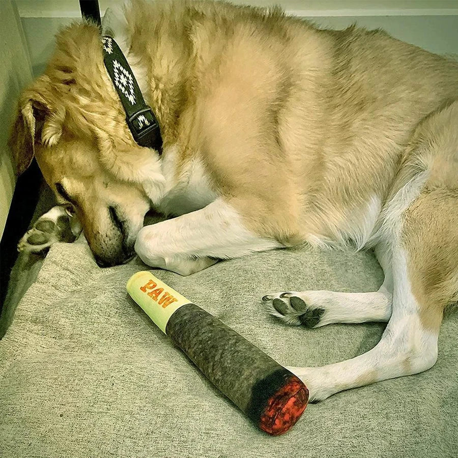 Cigar-Shaped Plush Squeaky Dog Toy