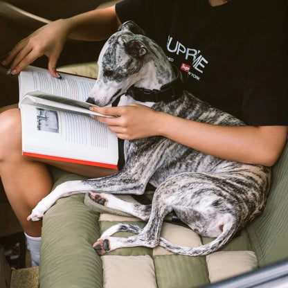 Pet Car Booster Seat – Double Dog Bed