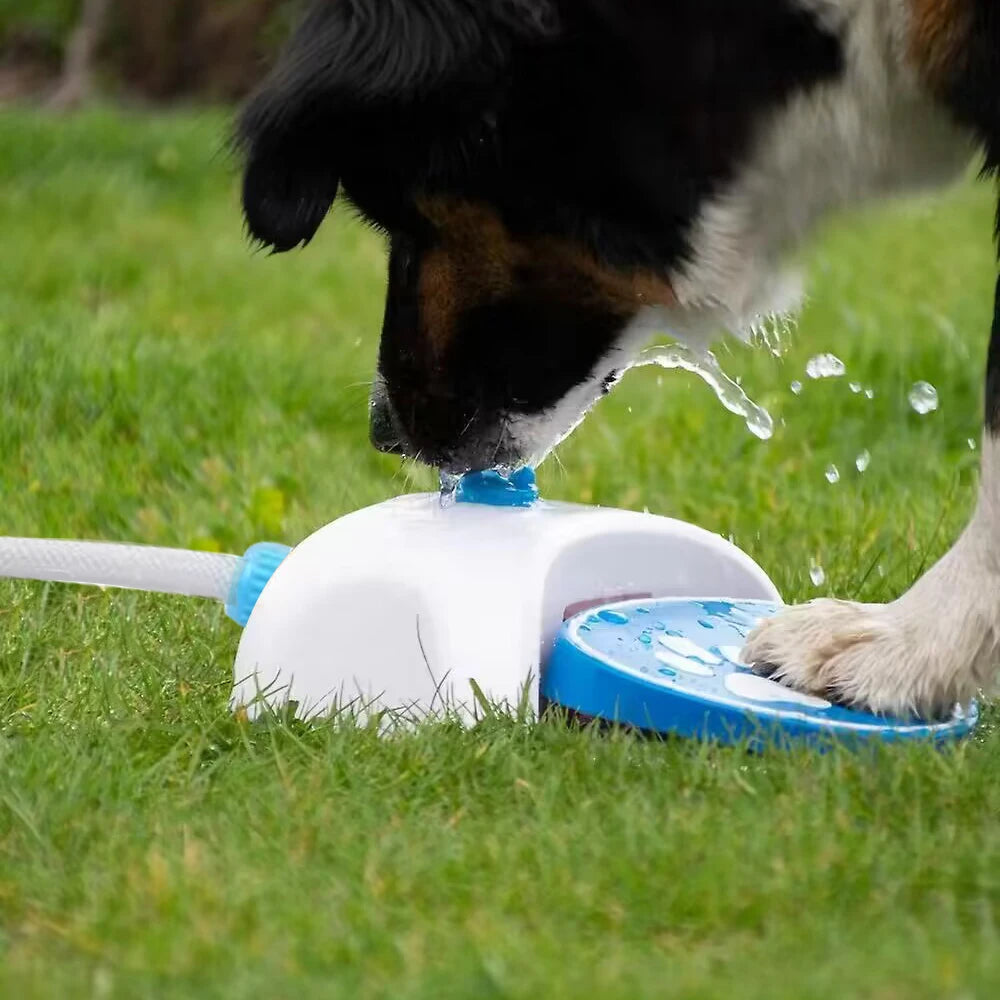 Pedal Activated Dog Water Fountain