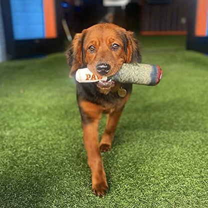Cigar-Shaped Plush Squeaky Dog Toy