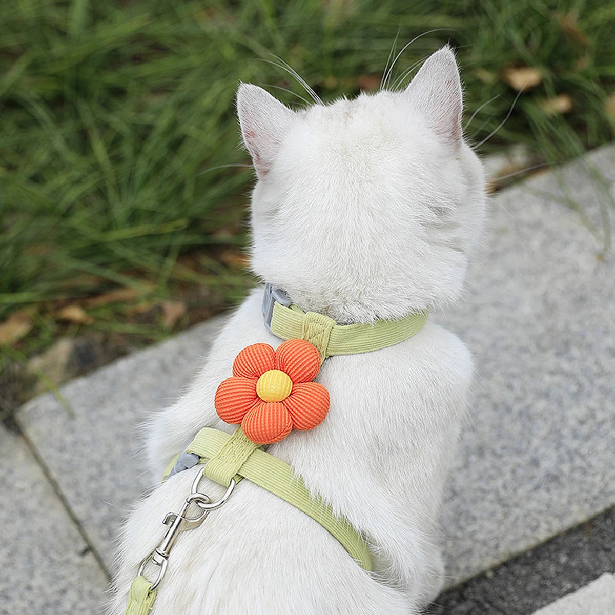 Adjustable Cat and Dog Harness Set