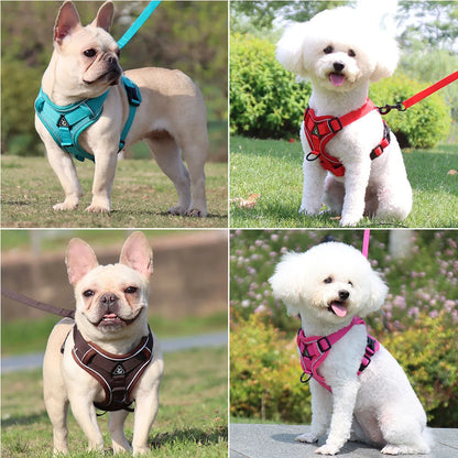Dog Walking Harness for French Bulldog Pug