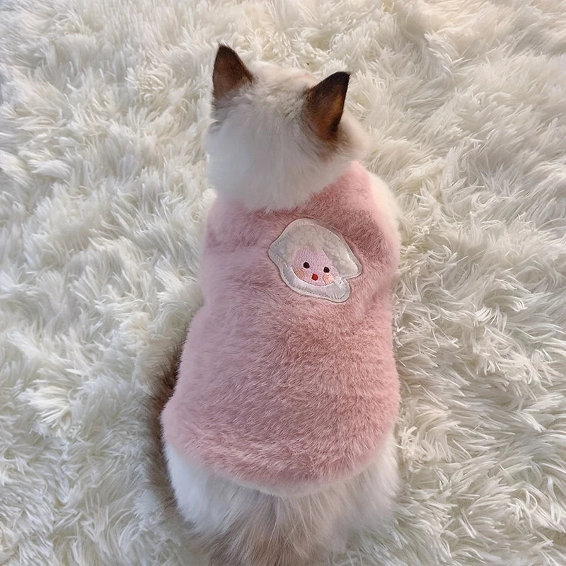 Warm Winter Clothes for Cats & Small Dogs