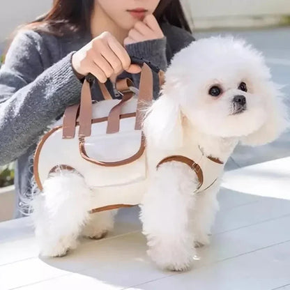 Small Dog & Cat Carrier – Shoulder & Handheld