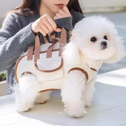 Small Dog & Cat Carrier – Shoulder & Handheld