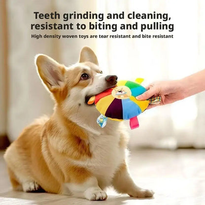 Durable Squeaky Dog Toy for Puppies