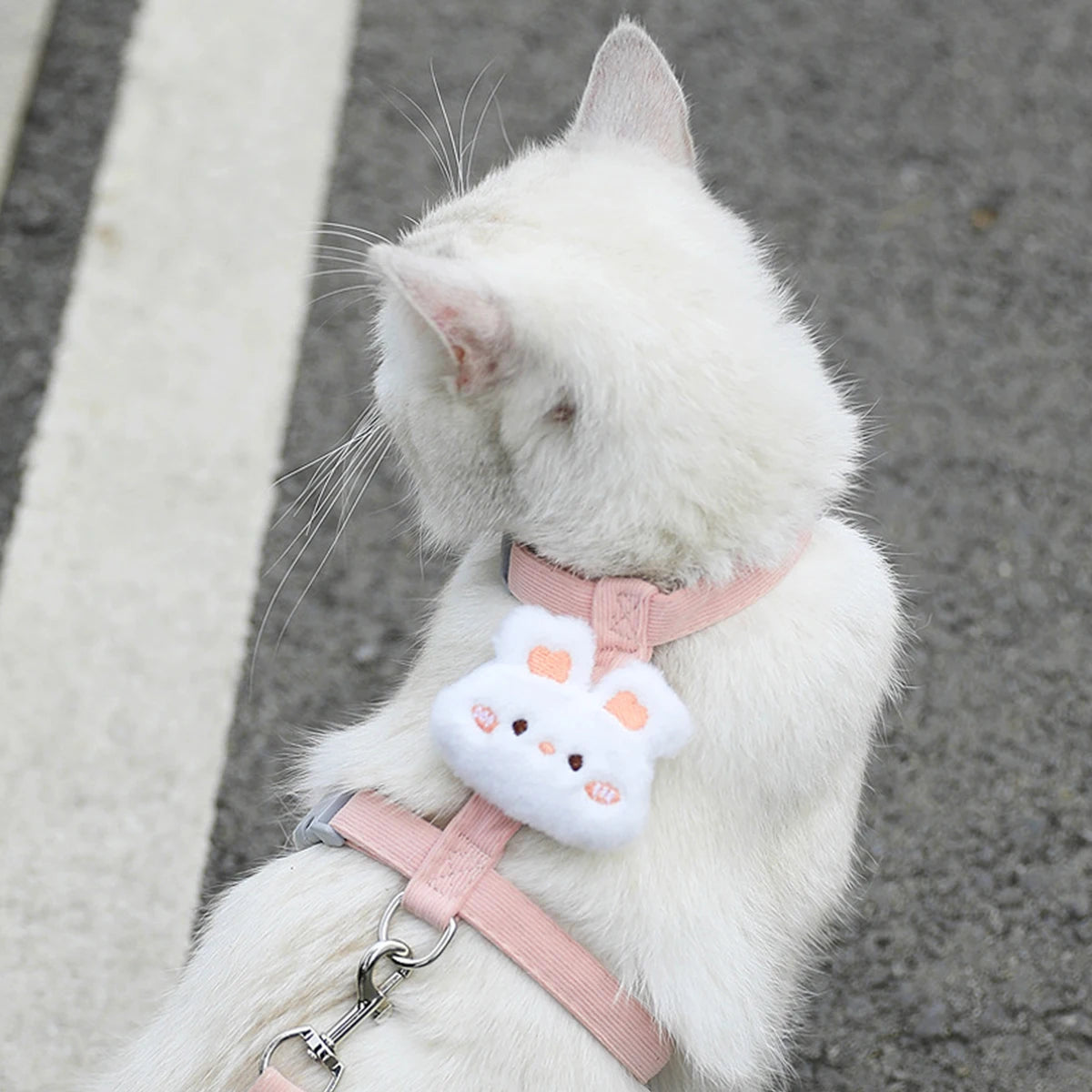 Adjustable Cat and Dog Harness Set