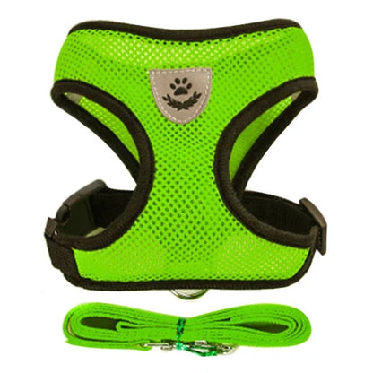 Small Pet Walking Harness with Leash