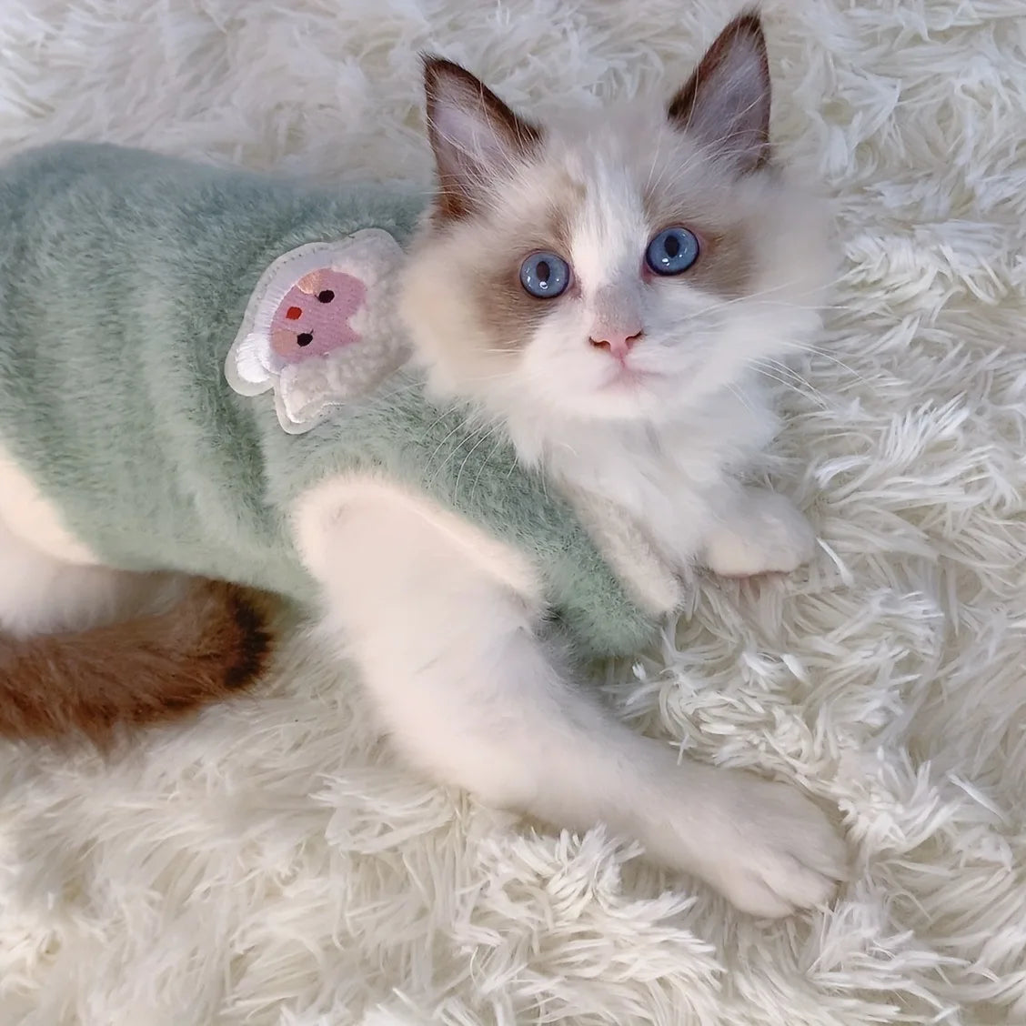 Warm Winter Clothes for Cats & Small Dogs
