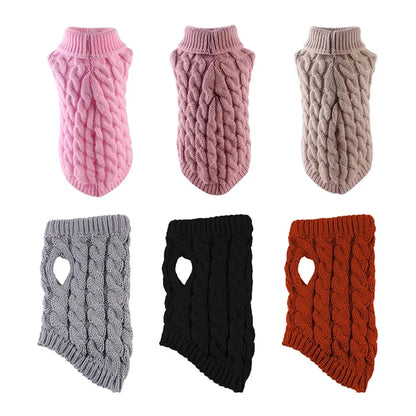 Small Dog Winter Sweater