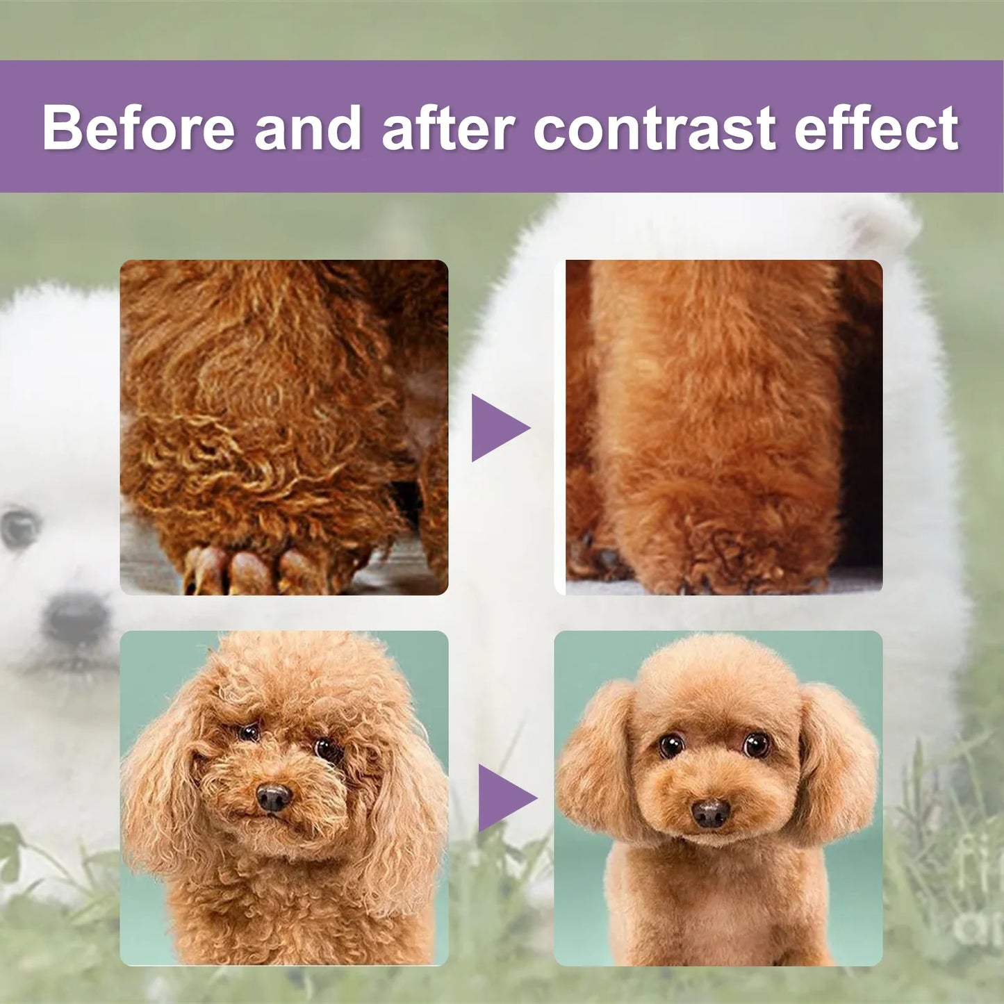 Pet Hair Conditioner – Detangle & Odor Control