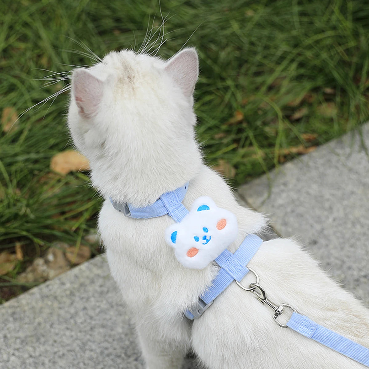 Adjustable Cat and Dog Harness Set