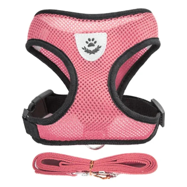 Small Pet Walking Harness with Leash