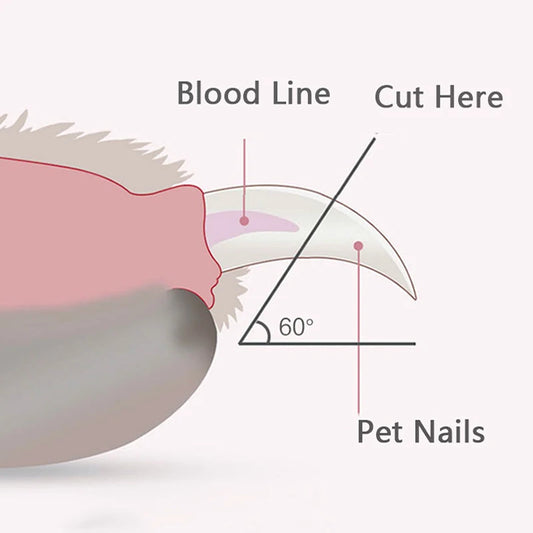 Professional LED Pet Nail Clippers – Dog & Cat Trimmer