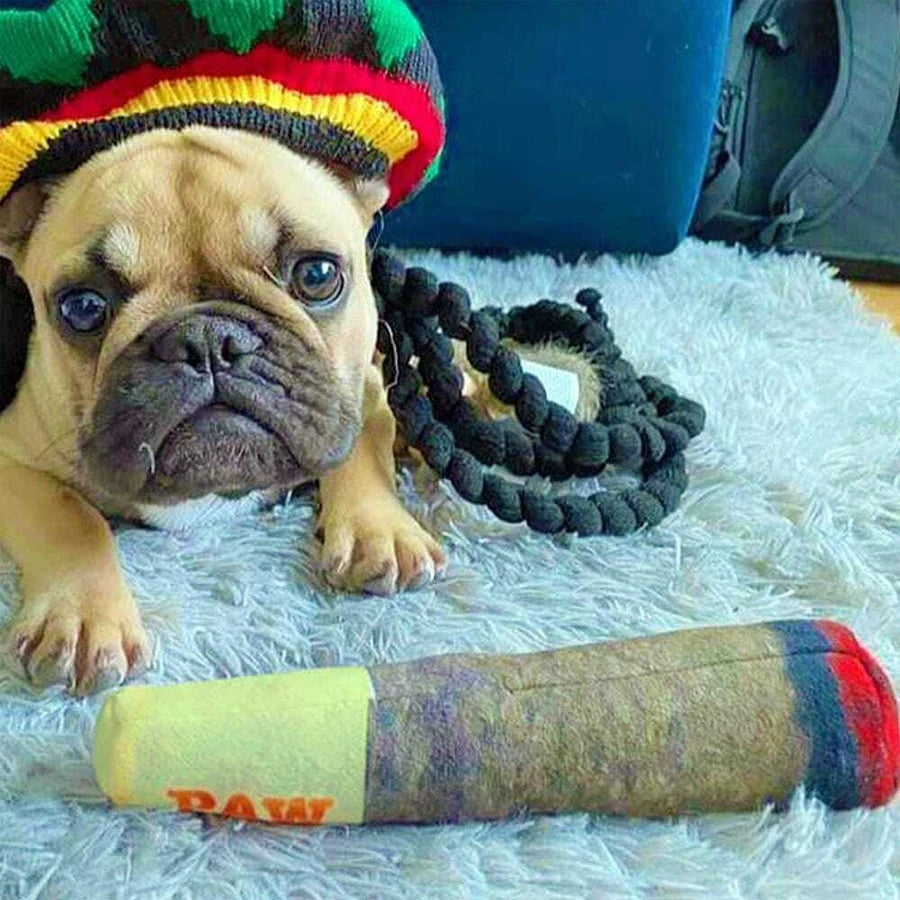 Cigar-Shaped Plush Squeaky Dog Toy