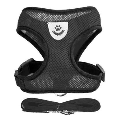 Small Pet Walking Harness with Leash