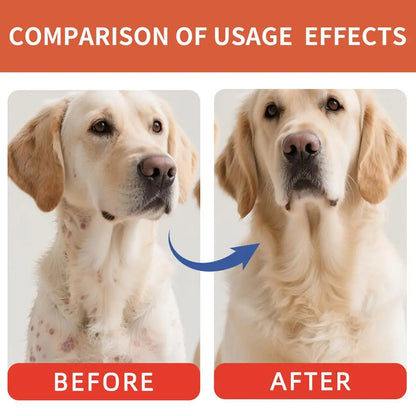 Dog Digestive Support Powder 40g – Natural Digestion Aid