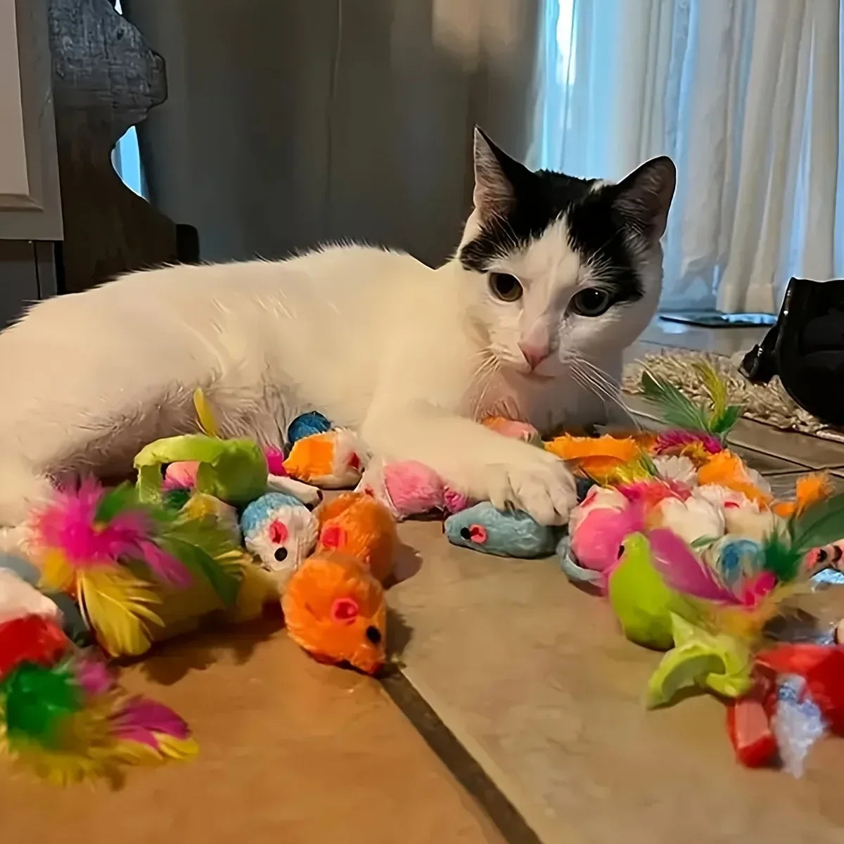 Mixed Pack Cat Toys (56/28/14 pcs)