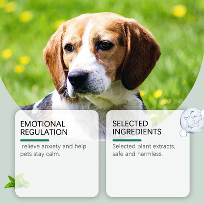 Pet Calming Supplement – Anxiety Relief Drops